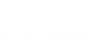 Black Point Recruitment company logo